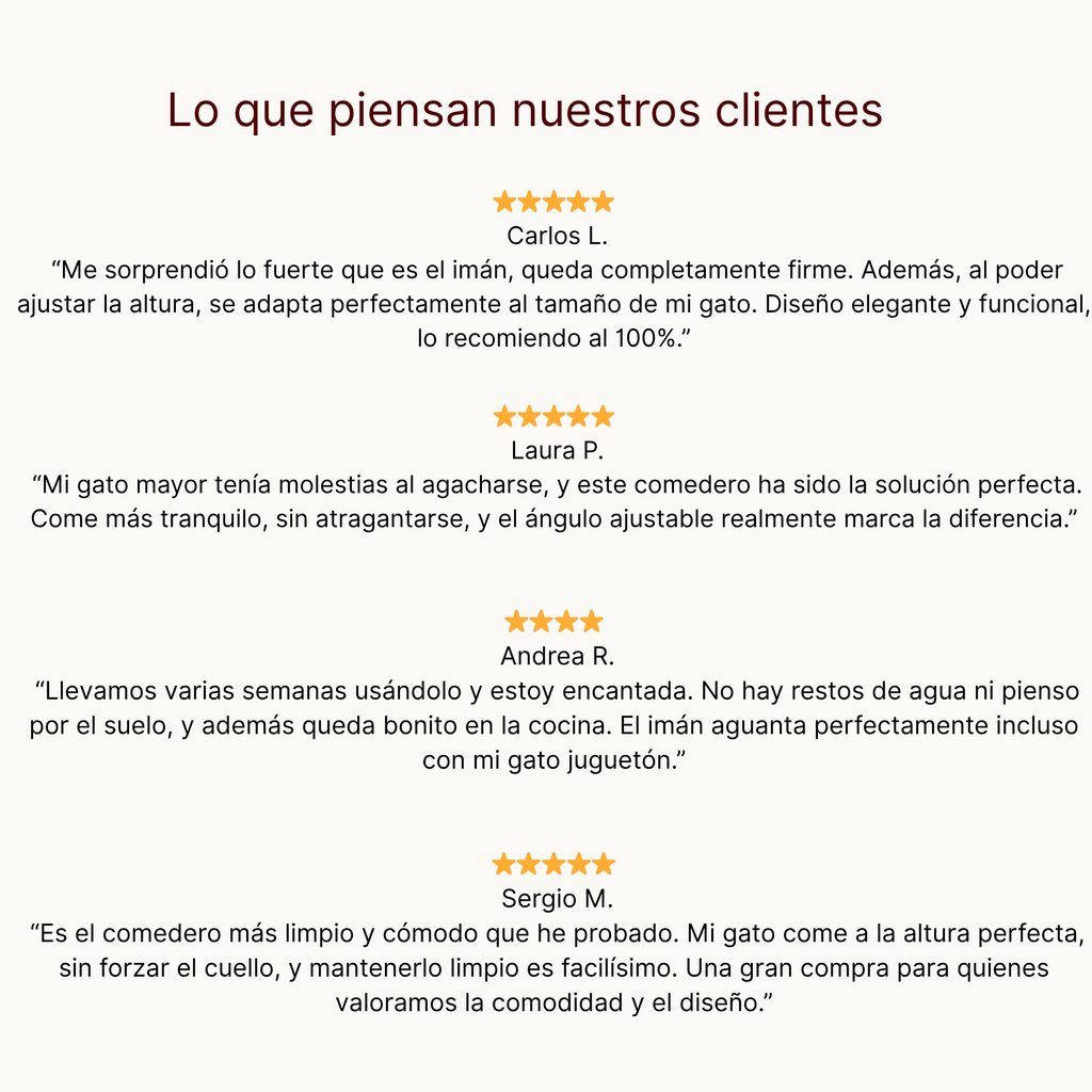 Comedero Elevado Antivómito para Gatos | Diseño Ergonómico que Mejora la Digestión y Cuida su Postura